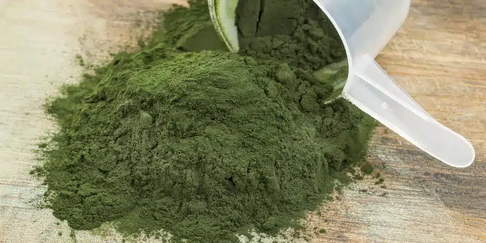 Une cuillère en plastique déverse une poudre de spiruline d'un vert éclatant sur une surface en bois. La poudre à la texture fine forme un petit monticule, évoquant une sensation naturelle et terreuse.