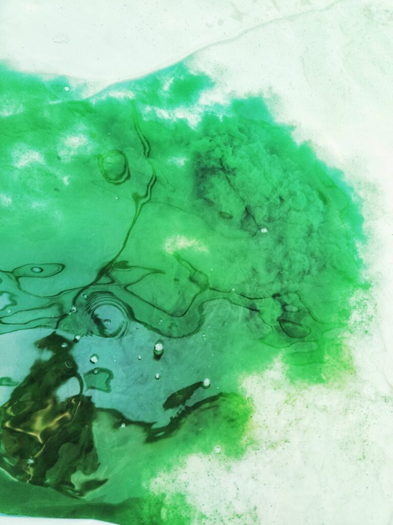 Spirulina Arthrospira platensis