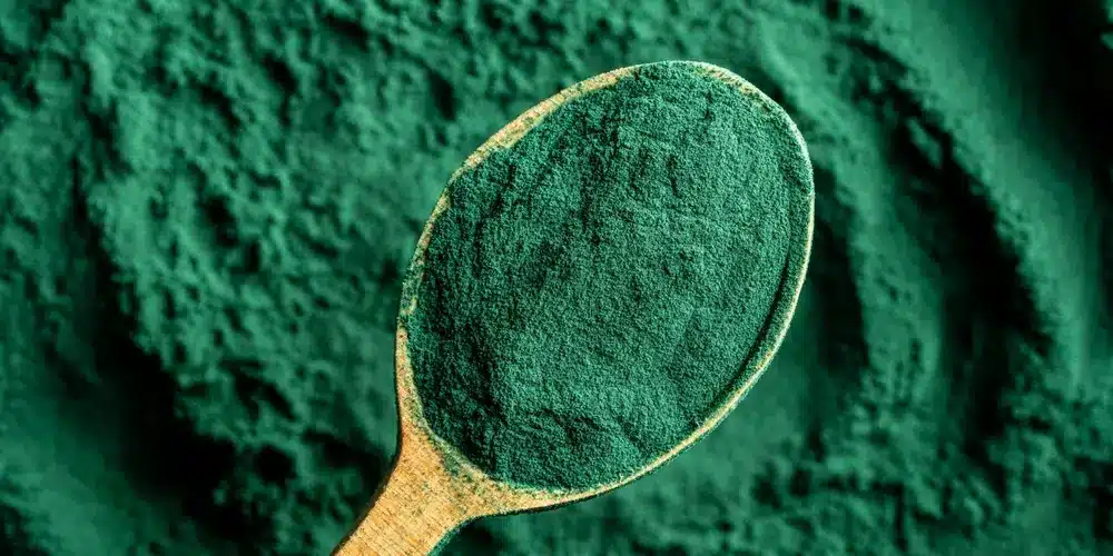 Cuillère en bois remplie de poudre de spiruline d'un vert éclatant, sur un fond texturé de la même poudre, évoquant une sensation naturelle et authentique.