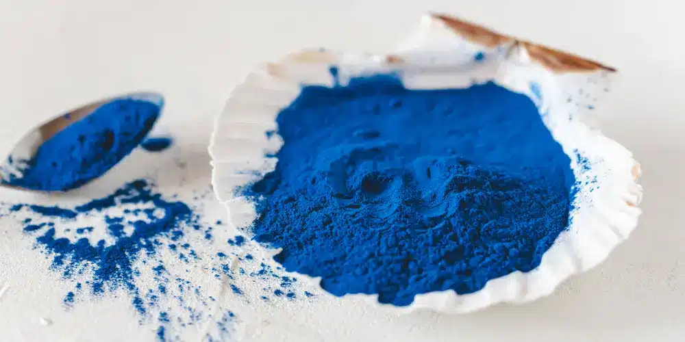 Pigment bleu intense en poudre sur un coquillage blanc, avec quelques fragments éparpillés à proximité. Une cuillère repose non loin, sur une surface blanche.
