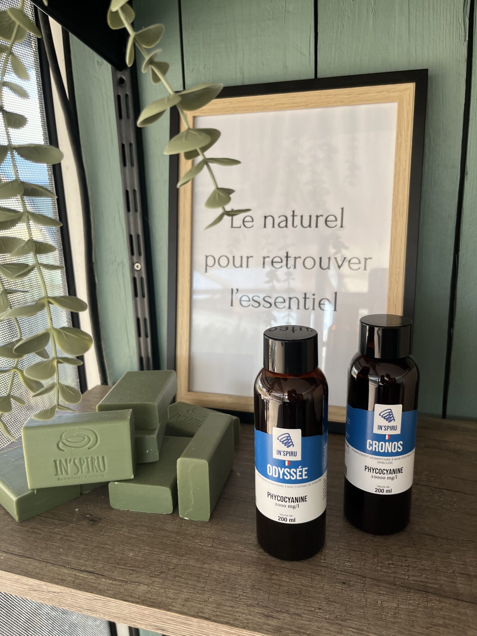 Pack Endurance : phycocyanine liquide Odyssée et Cronos