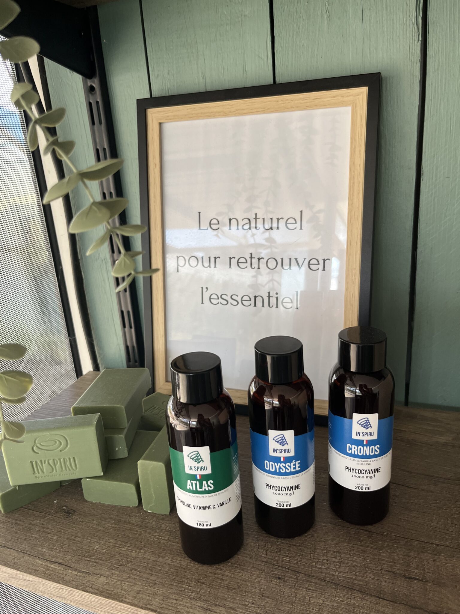 Pack Sport : spiruline liquide Atlas, phycocyanine Odyssée et Cronos