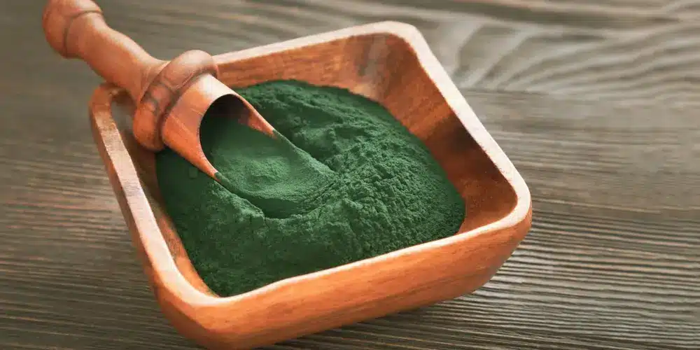 Sur une table en bois sombre, un bol en bois rempli de poudre de spiruline d'un vert éclatant est posé. Une petite cuillère en bois est nichée dans la poudre, comme pour suggérer son utilisation.