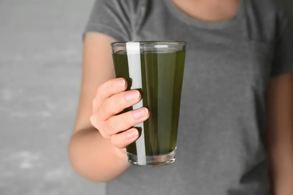 Femme tenant un verre de boisson à la spiruline sur fond gris, gros plan