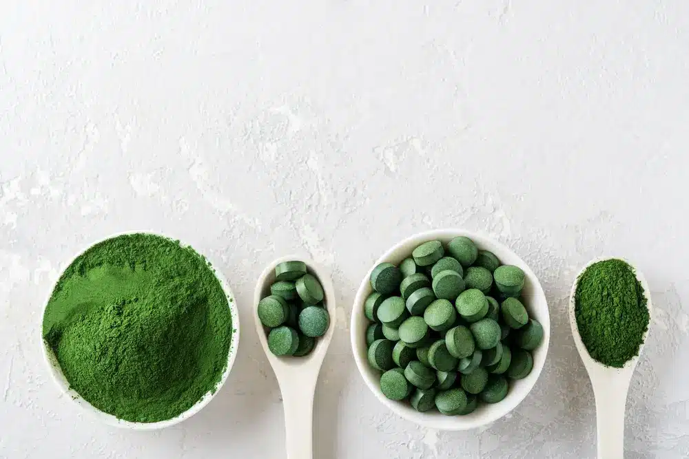 Chlorella ou spiruline sous forme de comprimés et de poudre sur fond gris béton.
