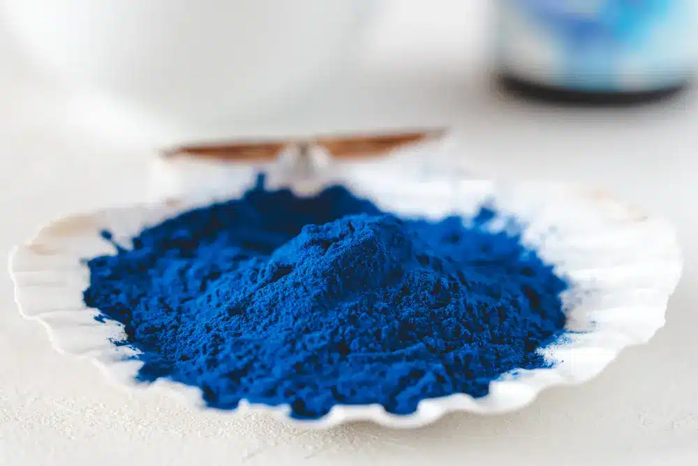 Poudre d'algues de spiruline bleue, supplément alimentaire sain.